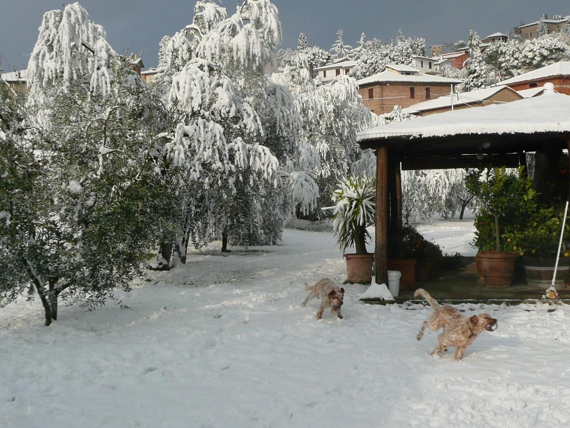 Bed and Breakfast Il Baraccotto Lucignano Zewnętrze zdjęcie